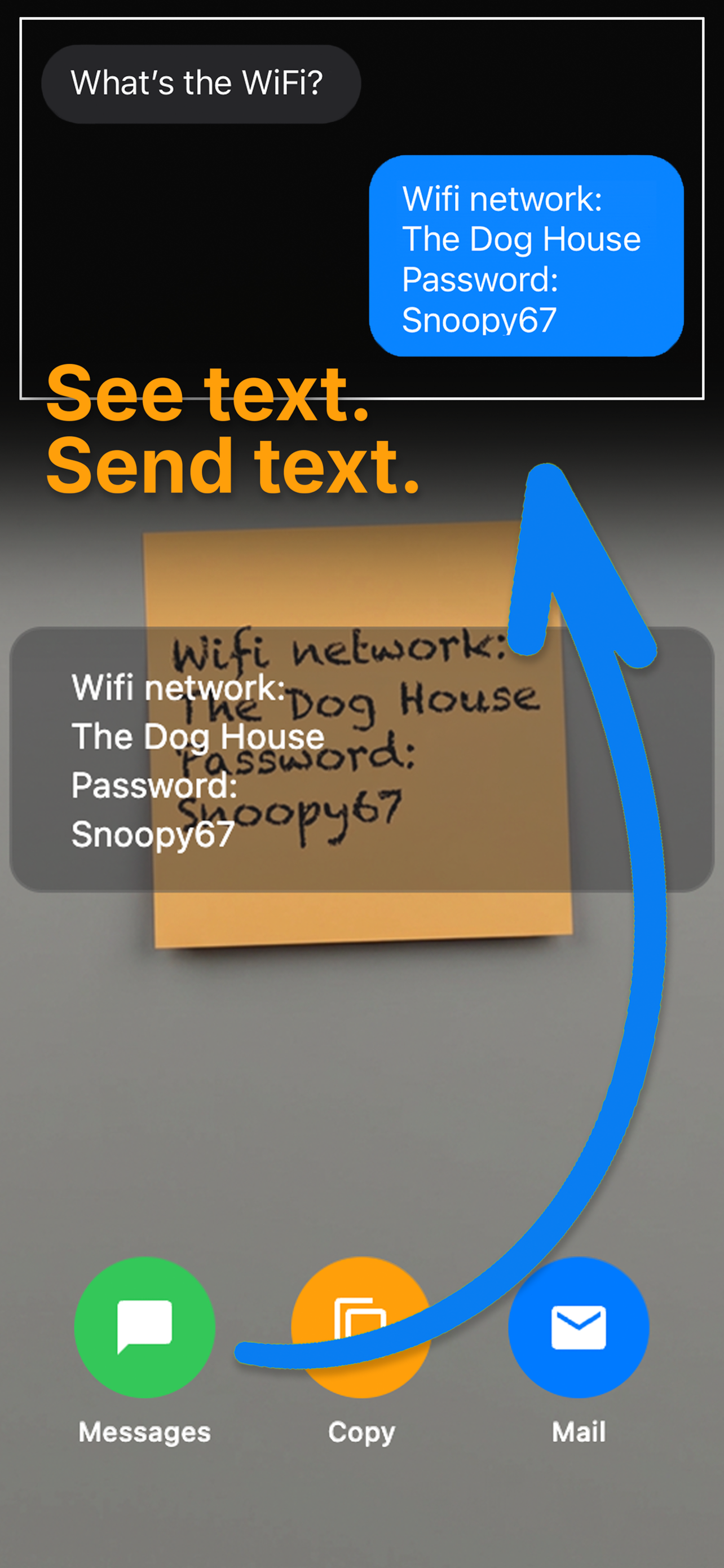 VsnClppr App Screenshot